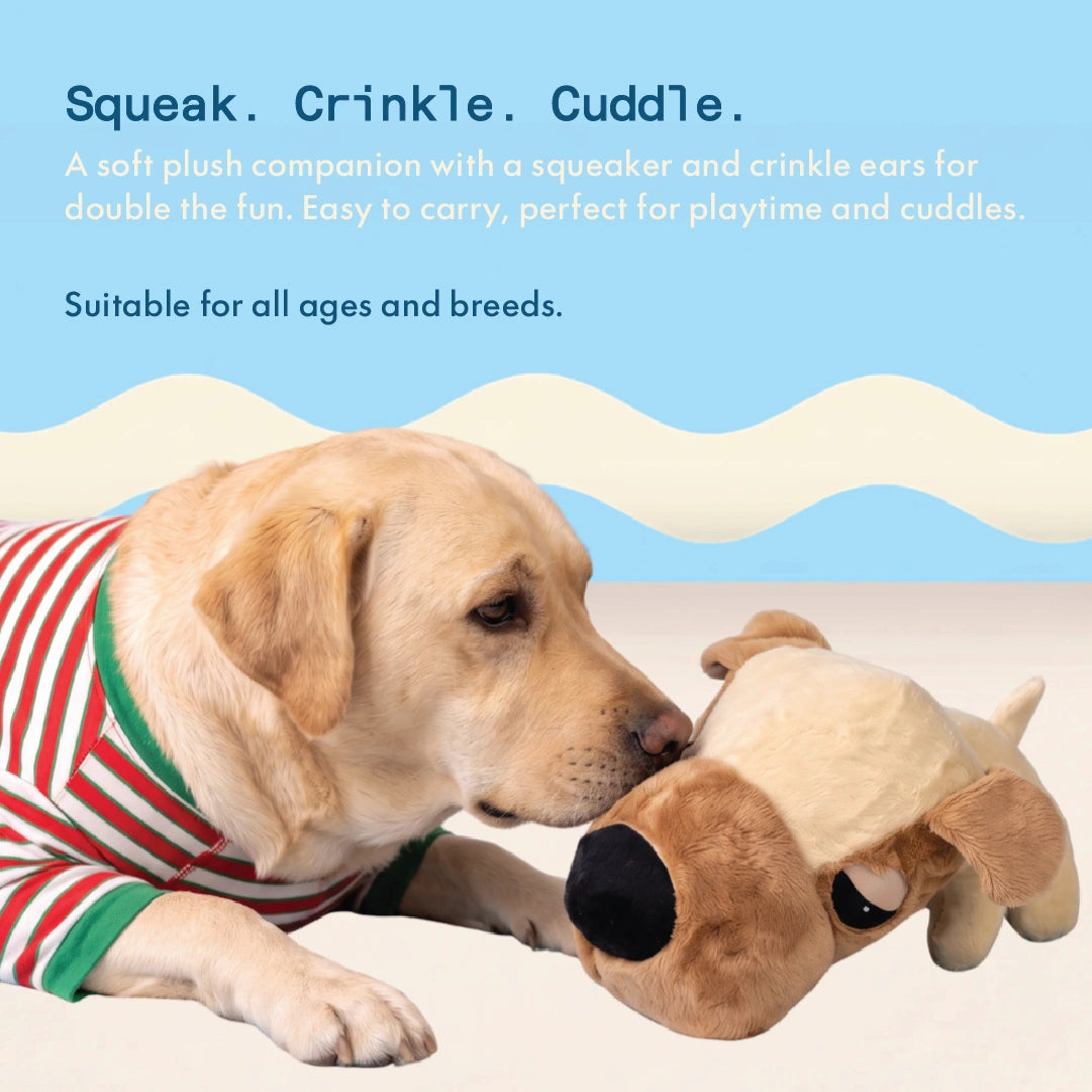 Buddy the Dog Plush Toy