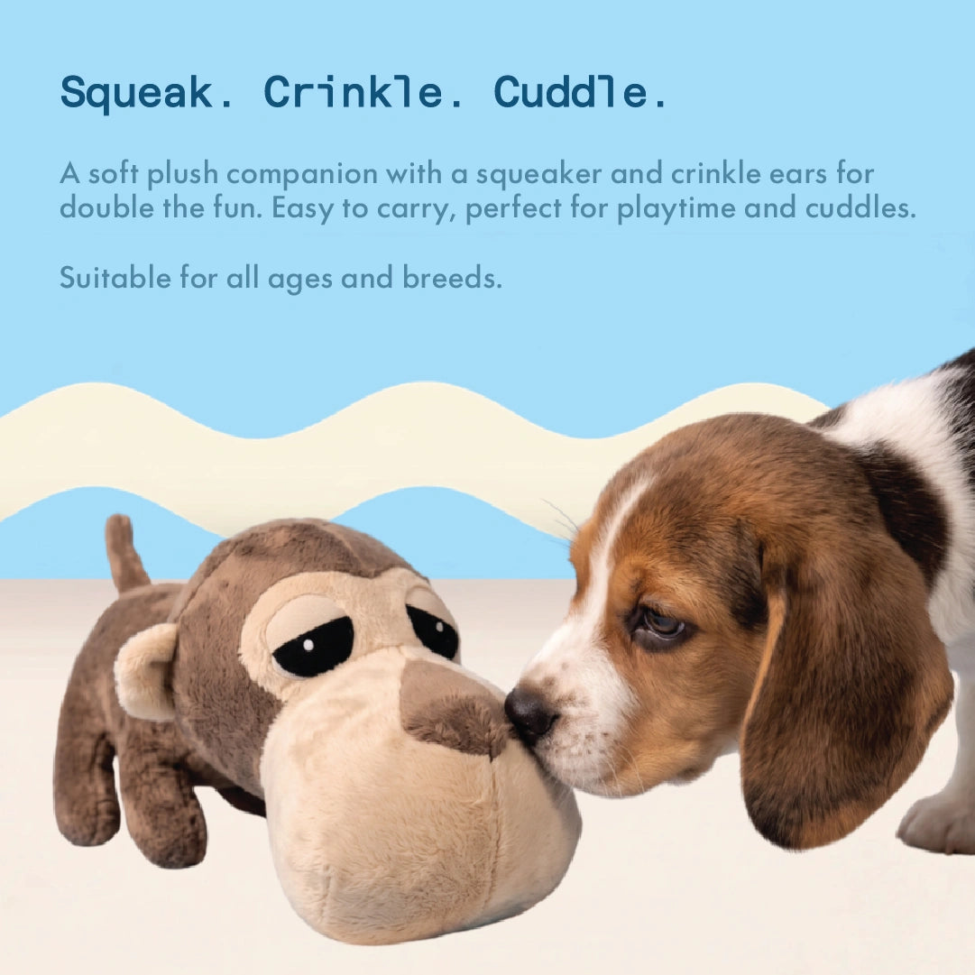Chunky the Monkey