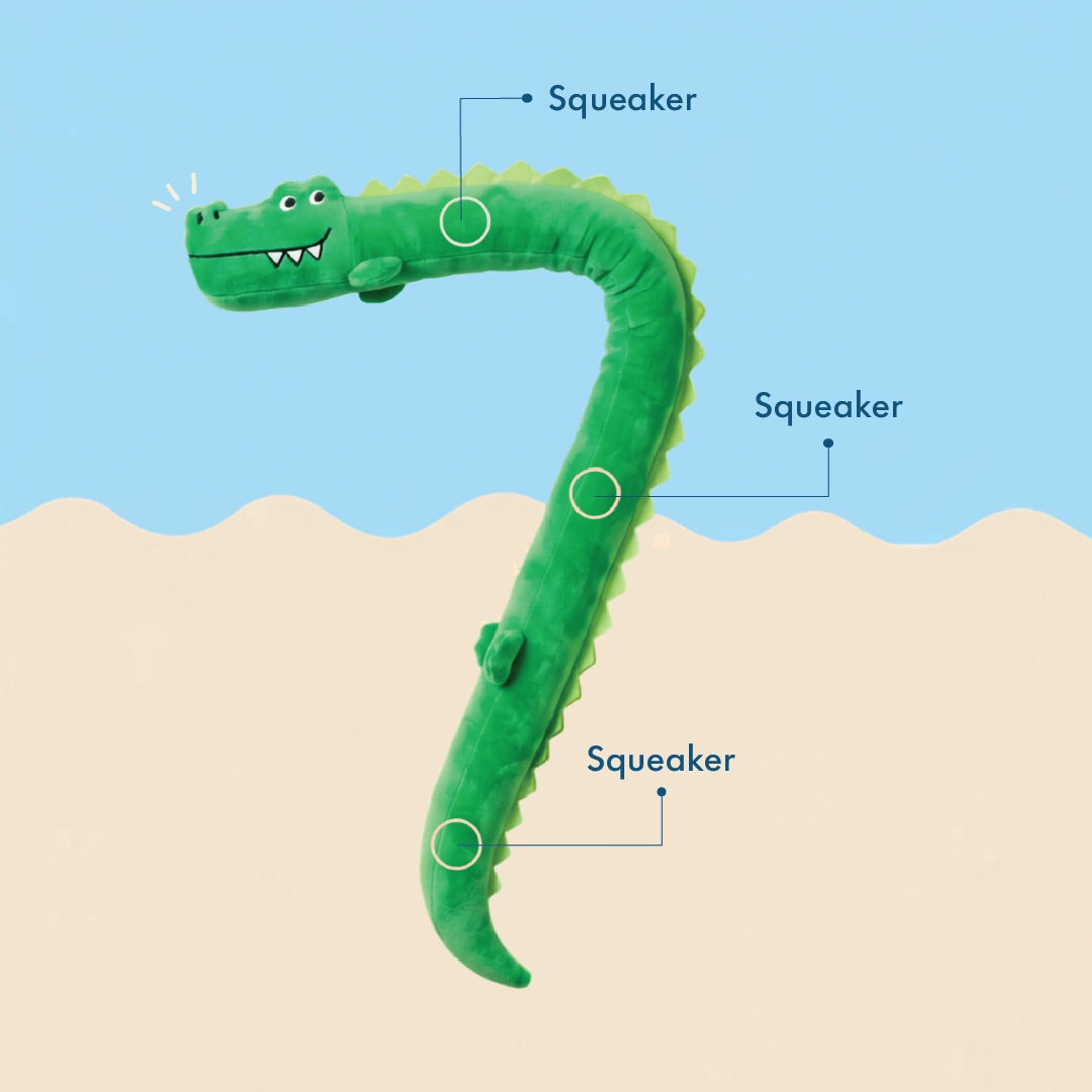 Crunchy the Croc