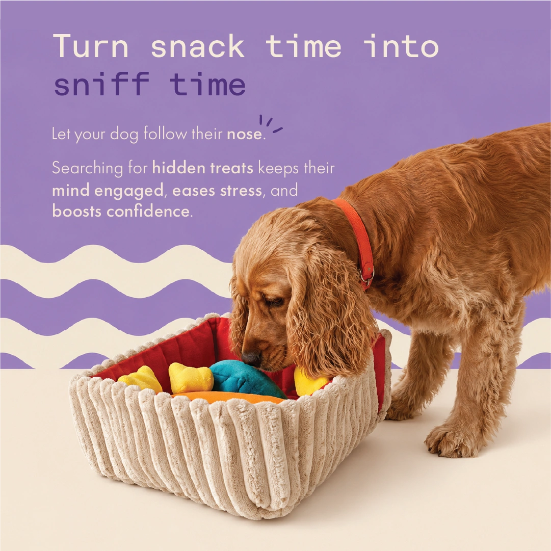 The Sniffari Lunch Box