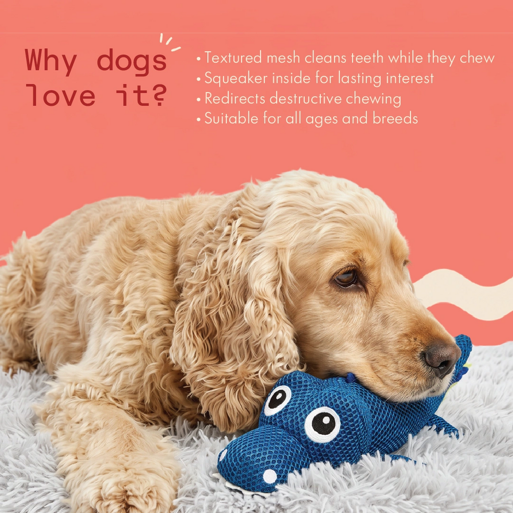 Jaws the Croc Chew Toy