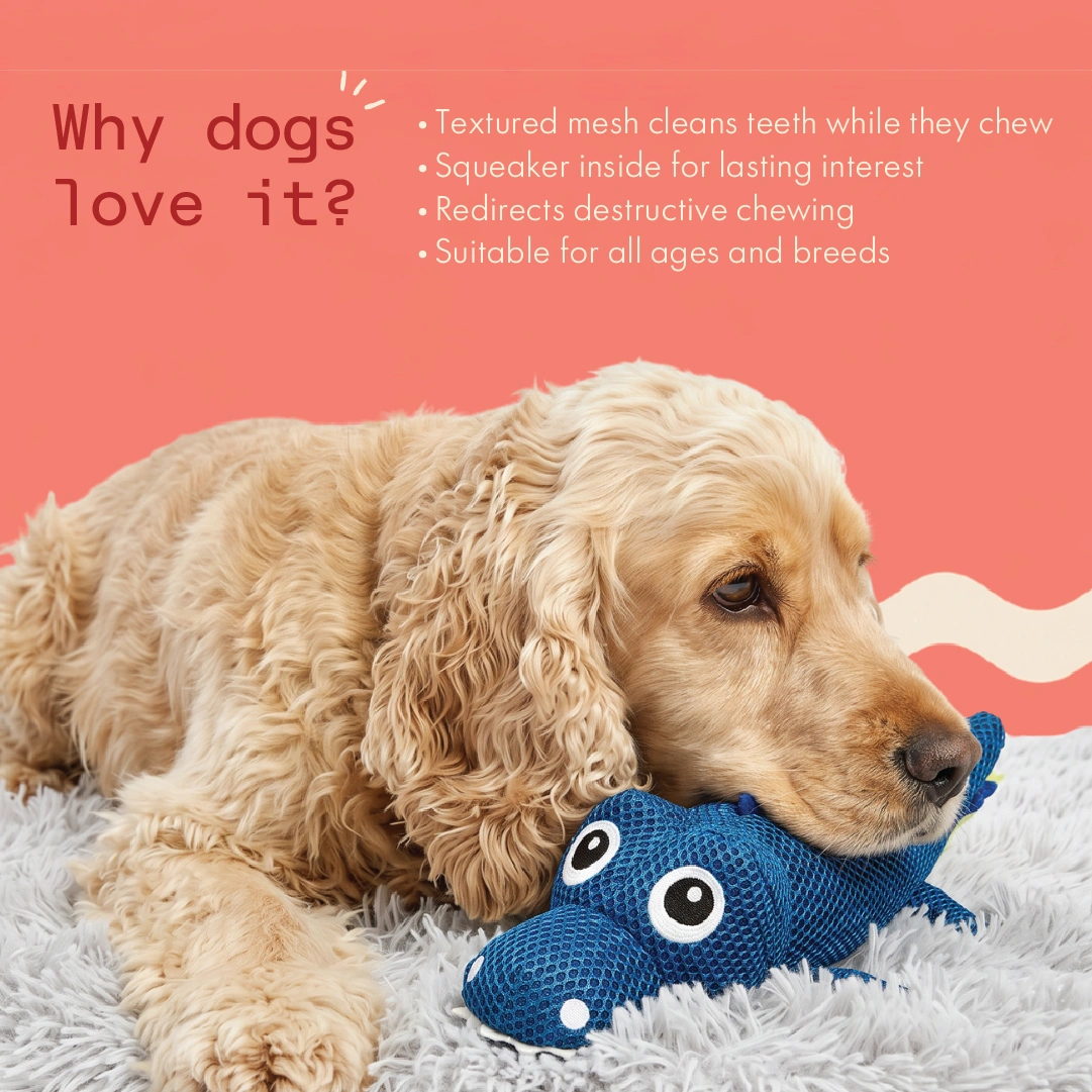 Jaws the Croc Chew Toy