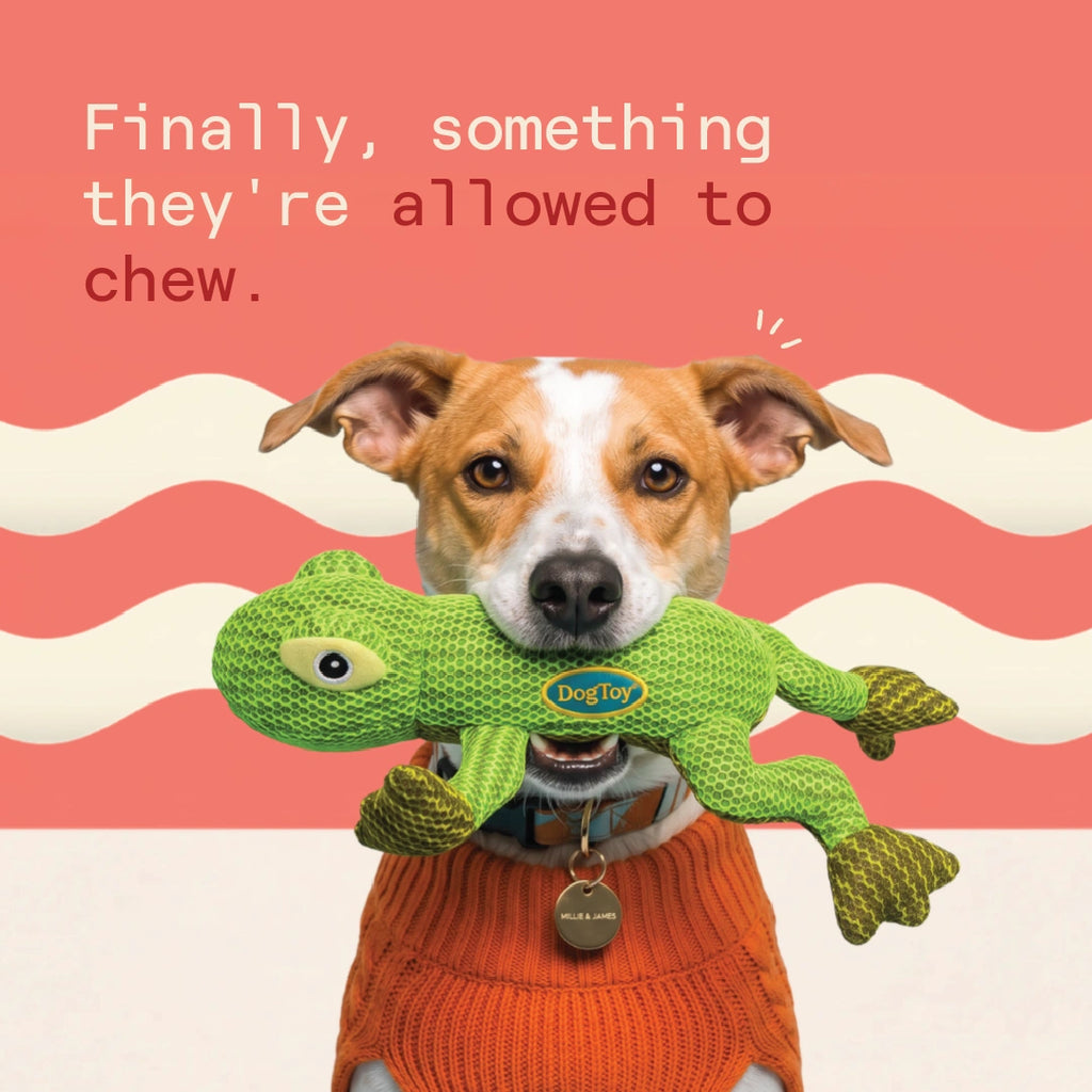 Zippy the Lizard Chew Toy