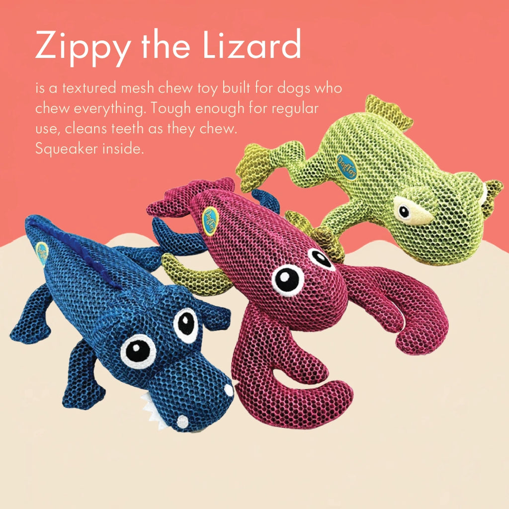 Zippy the Lizard Chew Toy