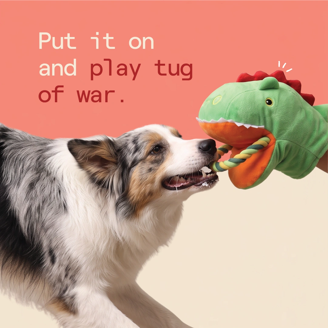 Rexy the Dino Tug Toy