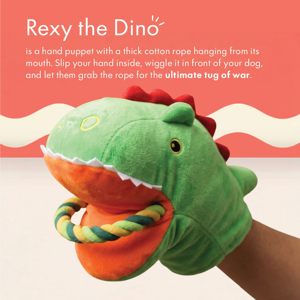 Rexy the Dino Tug Toy
