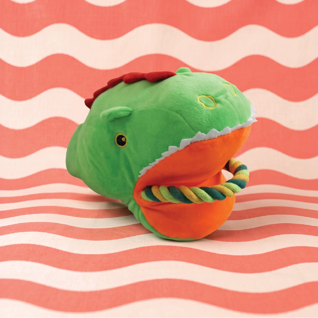 Rexy the Dino Tug Toy