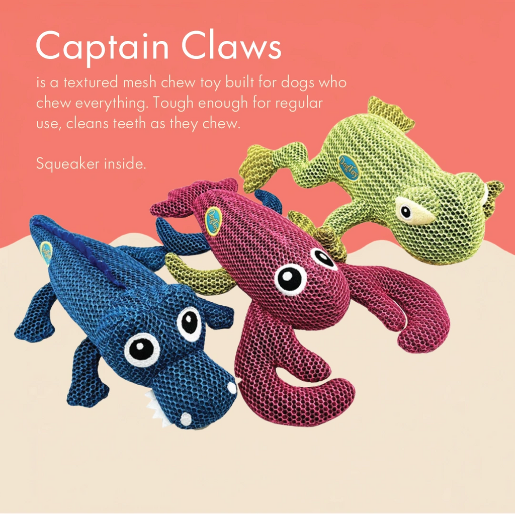 Captain Claws Chew Toy