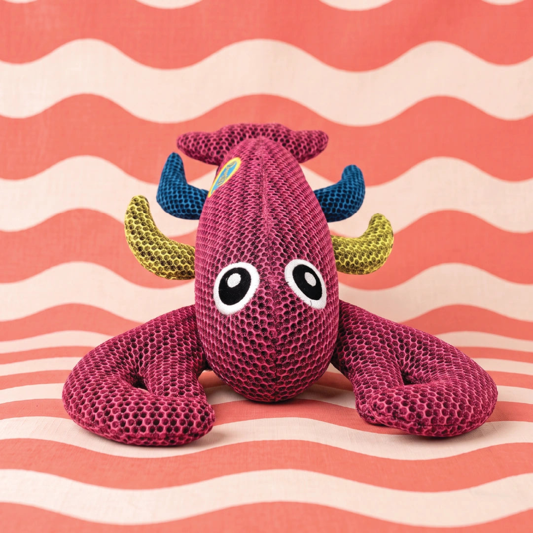 Captain Claws Chew Toy
