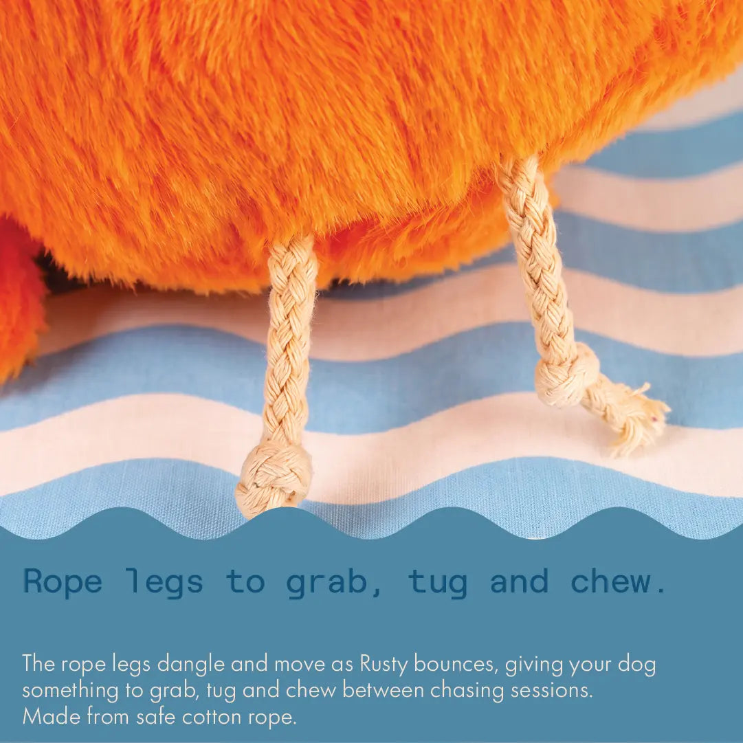 Rusty the Bird, self-moving electronic plush toy with rope legs for dogs, photo 3