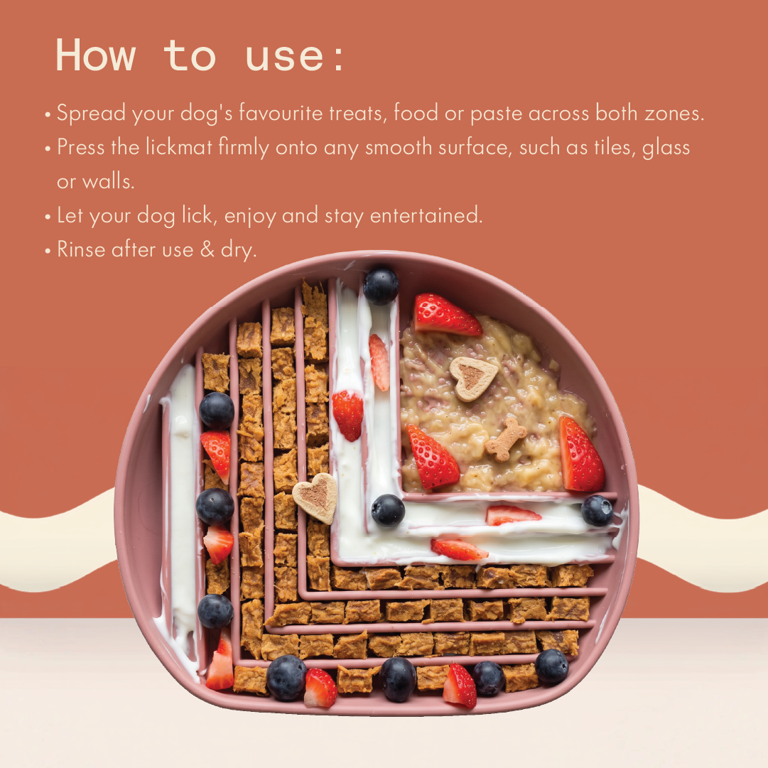Maze & Craze Slow Feeder/Lick Mat