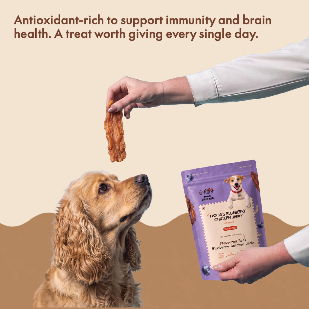 Noor's Blueberry Chicken Jerky (Grain-Free Dog Treats)