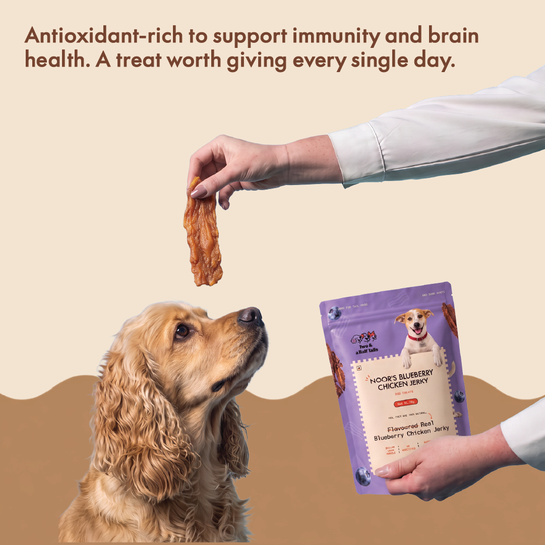 Noor's Blueberry Chicken Jerky (Grain-Free Dog Treats)