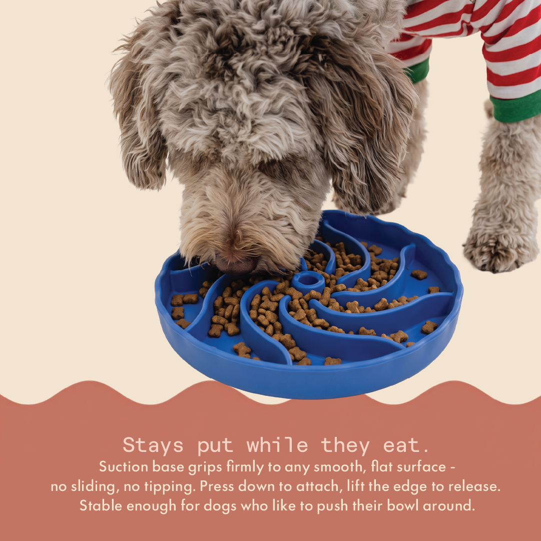 Twist & Treat Slow Feeder