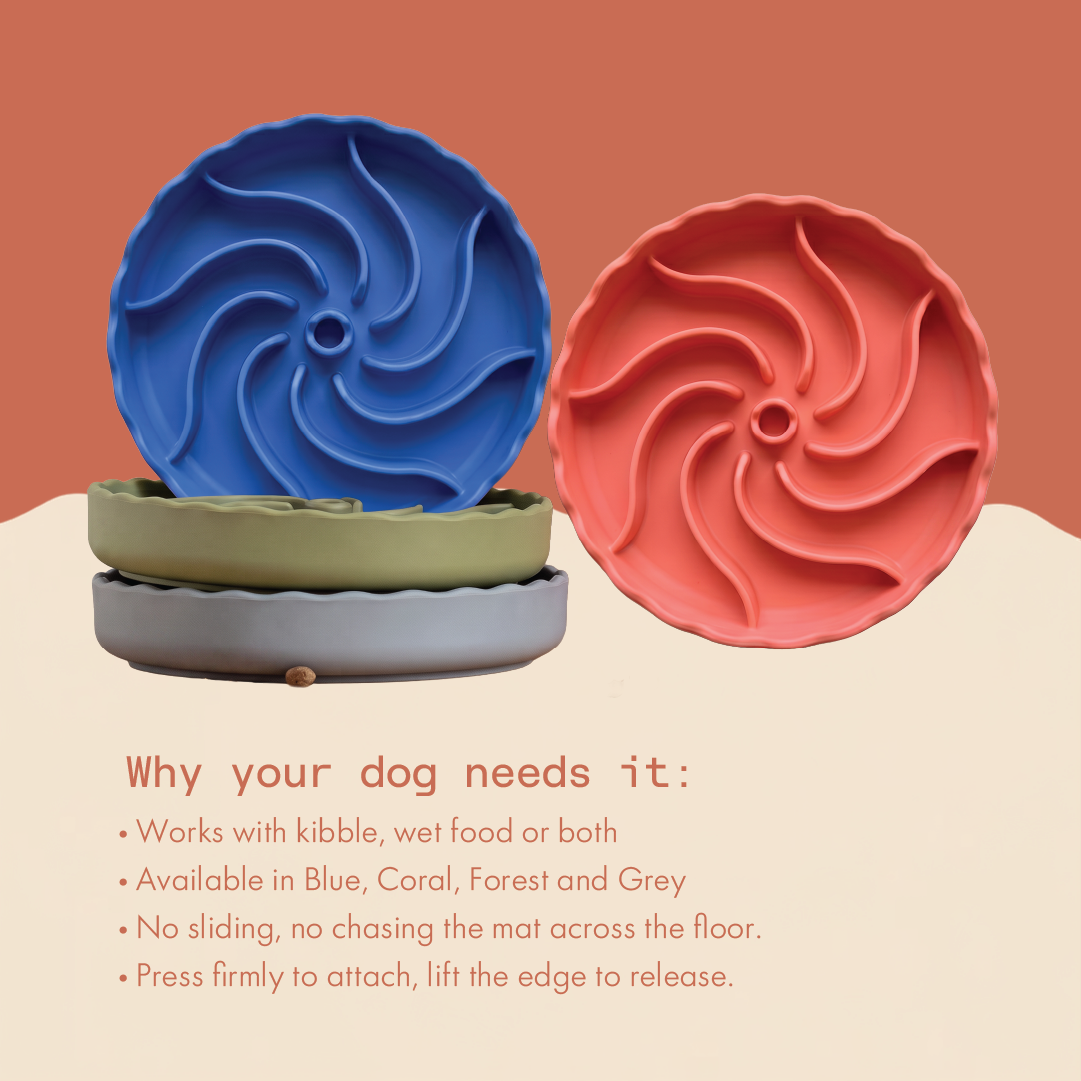 Twist & Treat Slow Feeder