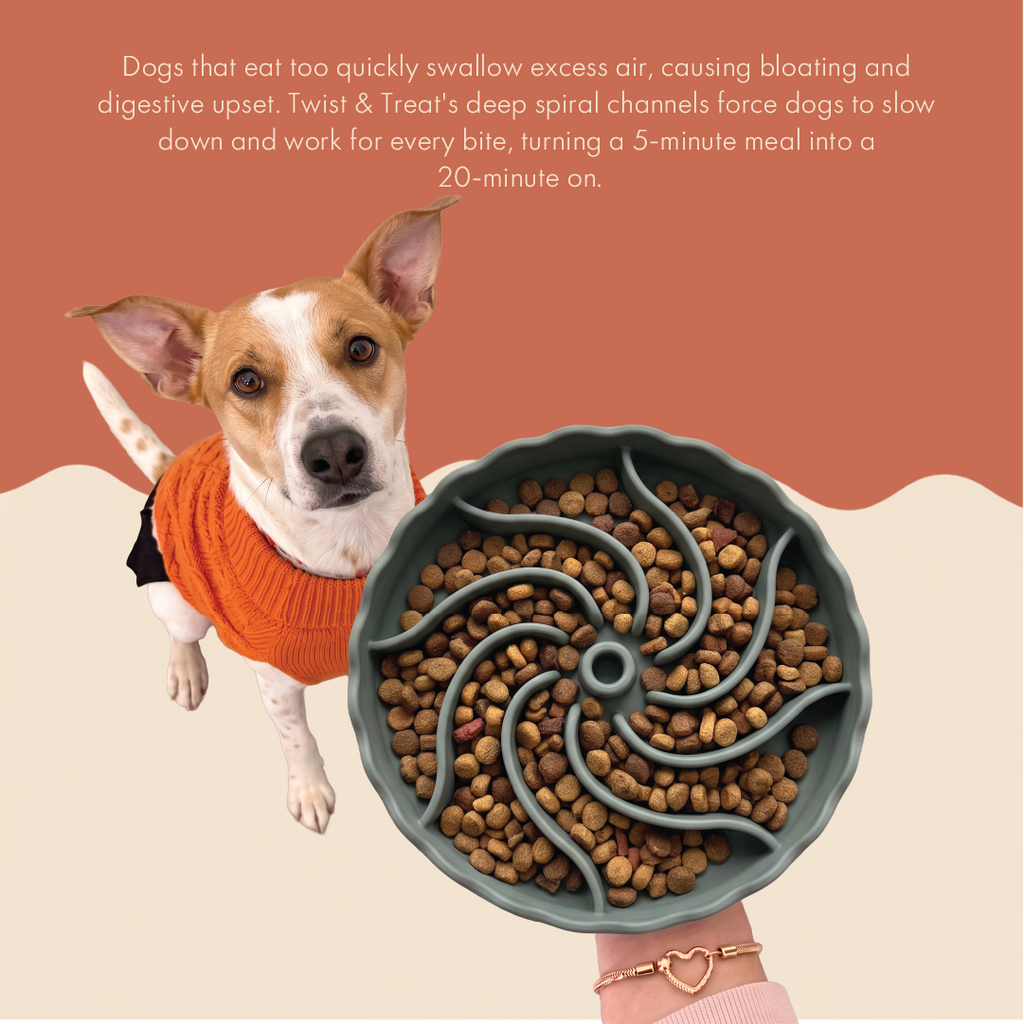 Twist & Treat Slow Feeder