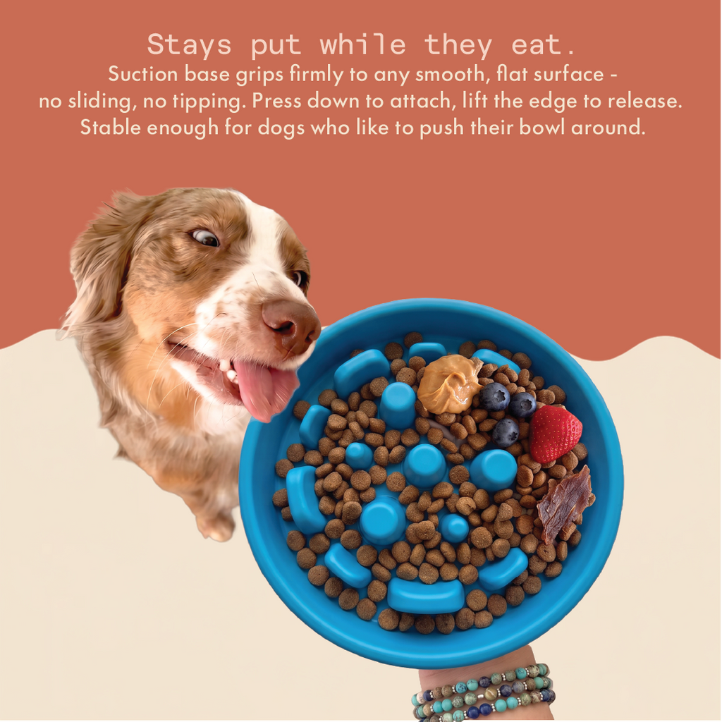 Bubble Bowl Slow Feeder