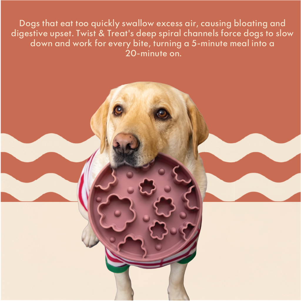 Cloudy with a Chance of Meat Slow Feeder