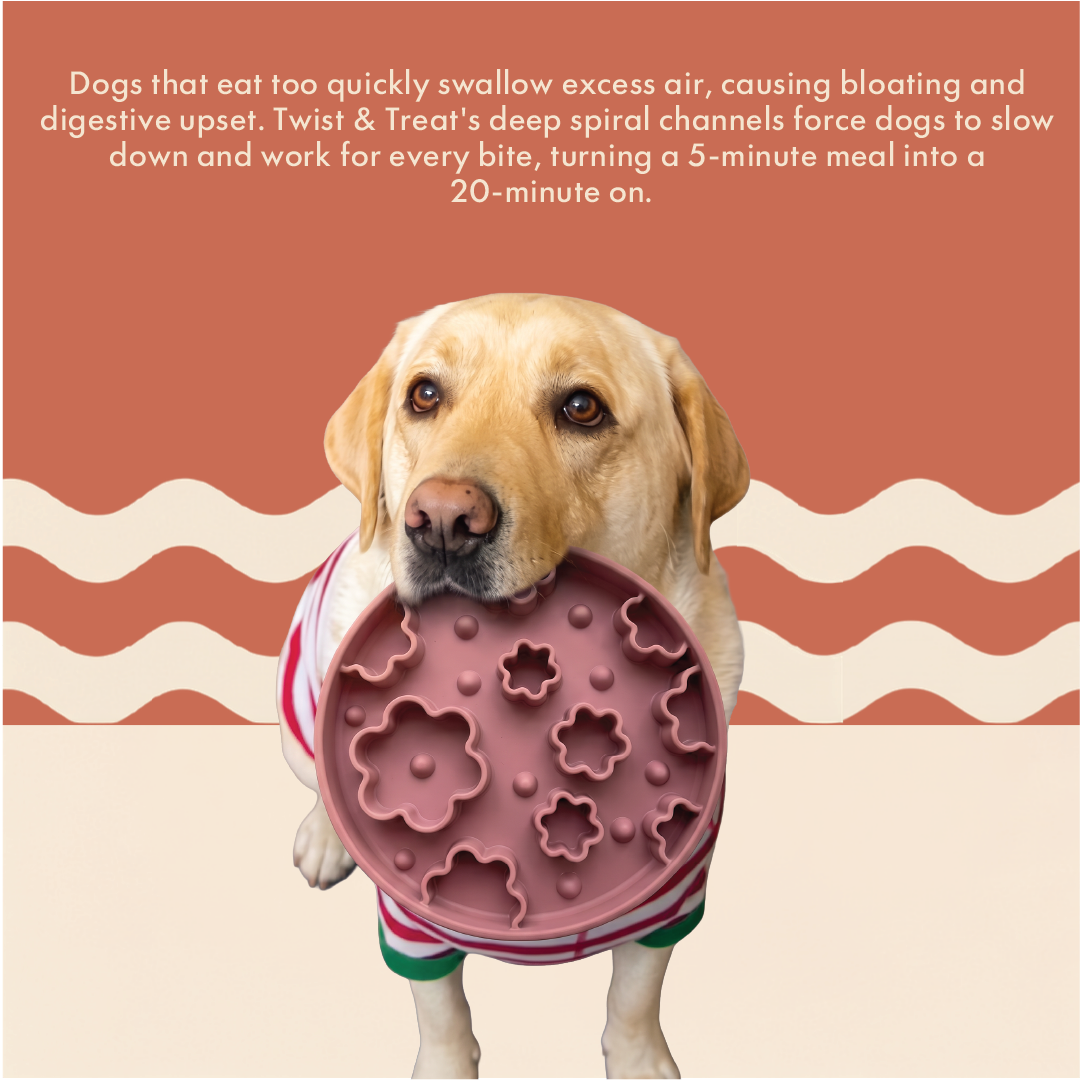 Cloudy with a Chance of Meat Slow Feeder