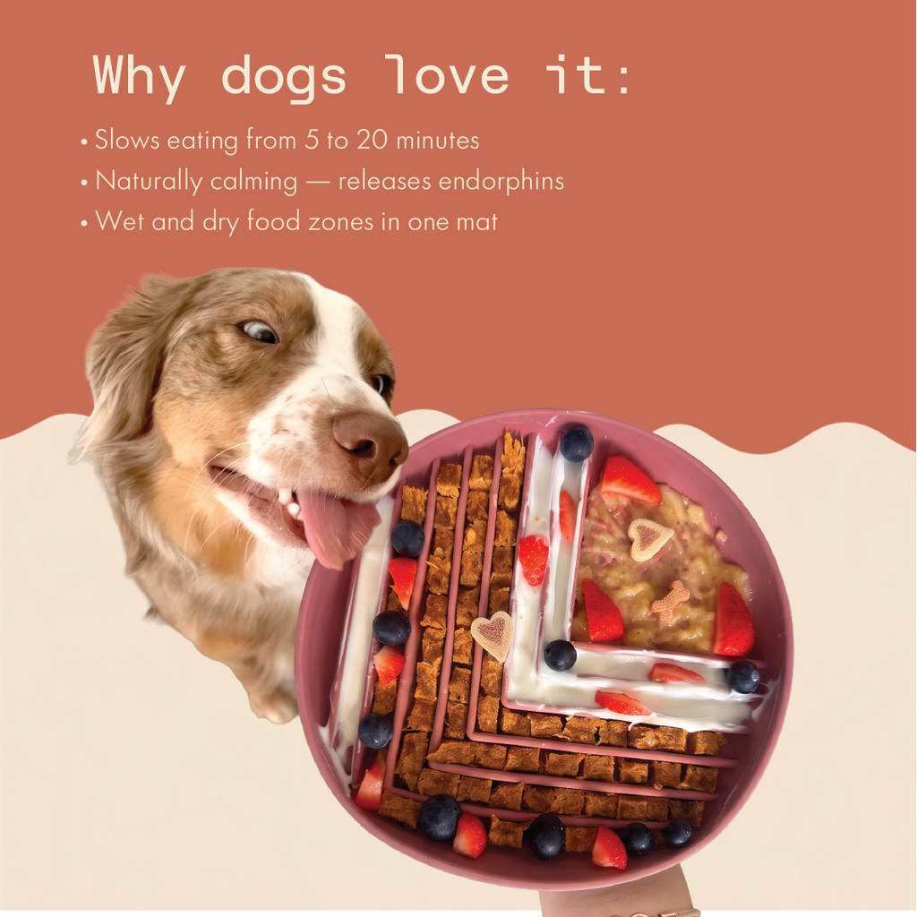Maze & Craze Slow Feeder/Lick Mat