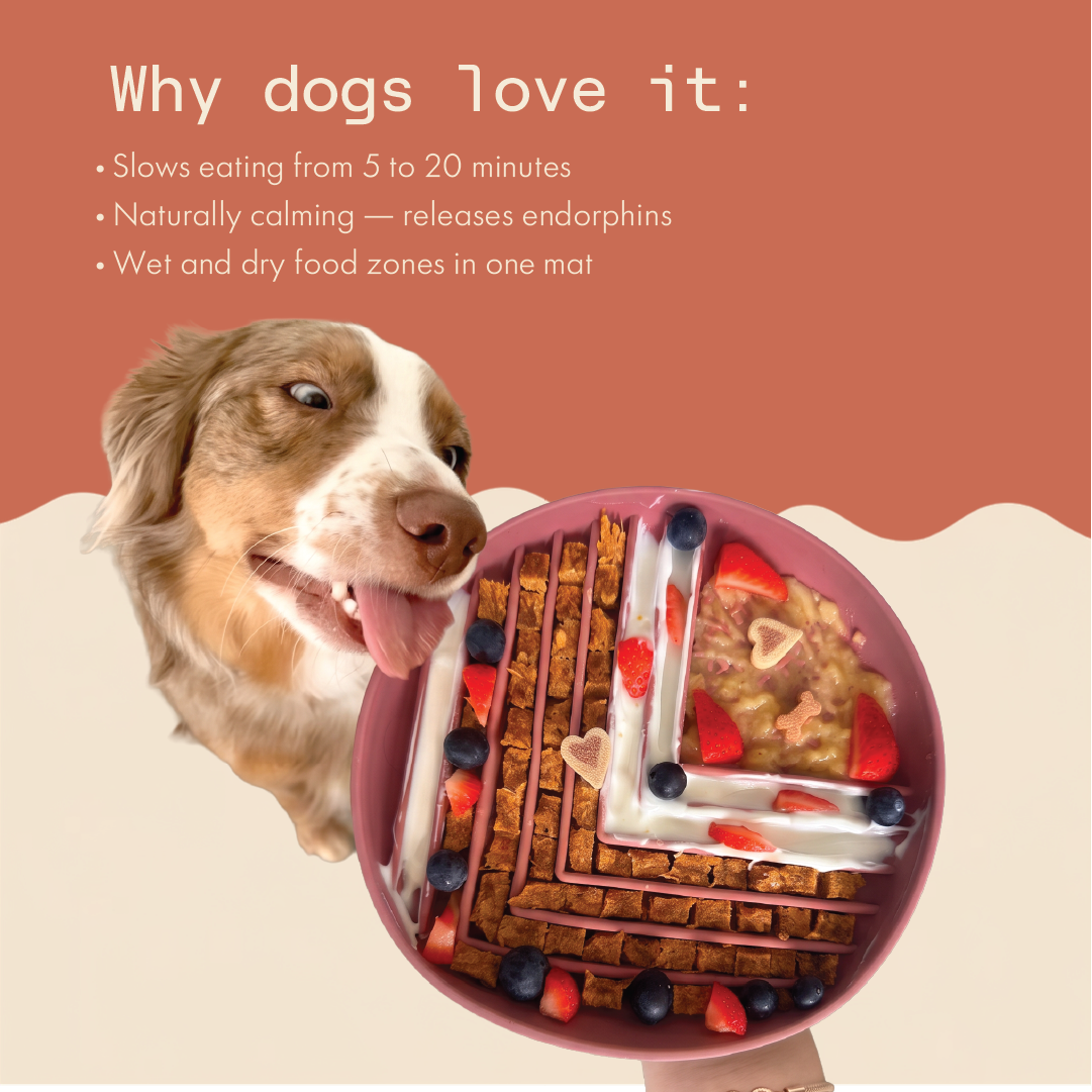 Maze & Craze Slow Feeder/Lick Mat