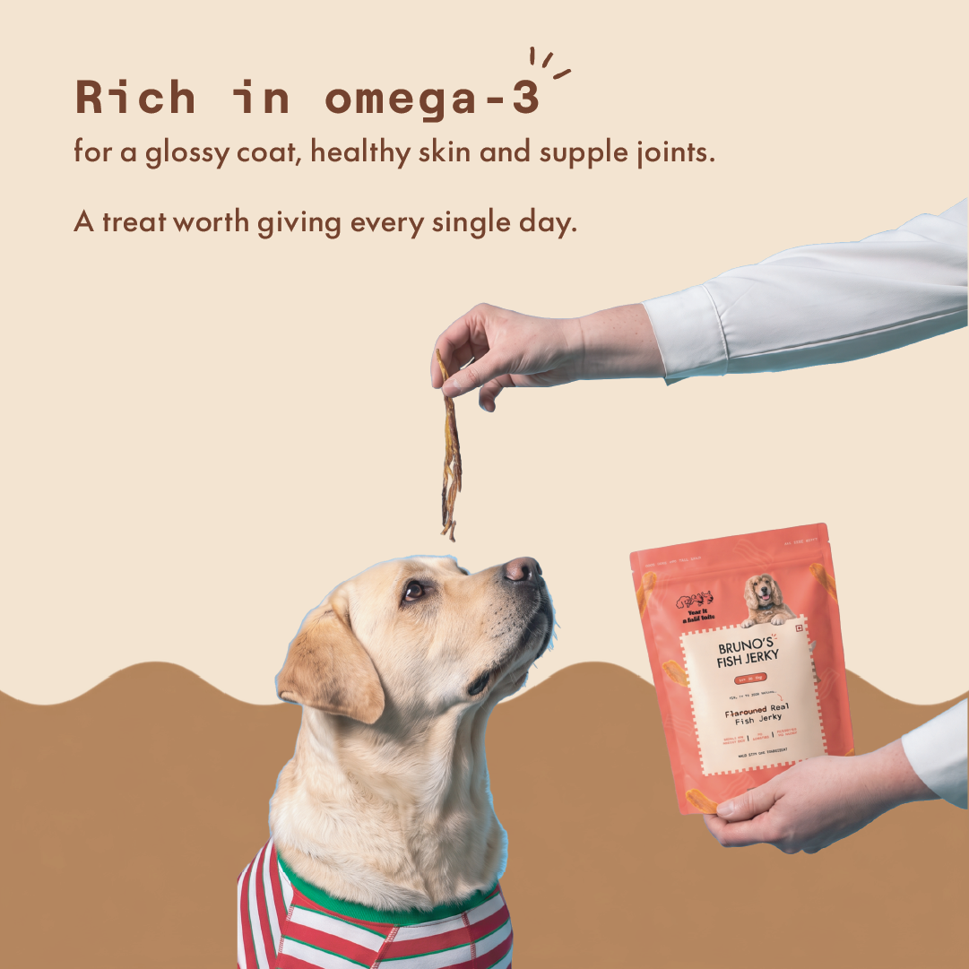Bruno's Fish Jerky (Grain-Free Dog Treats)