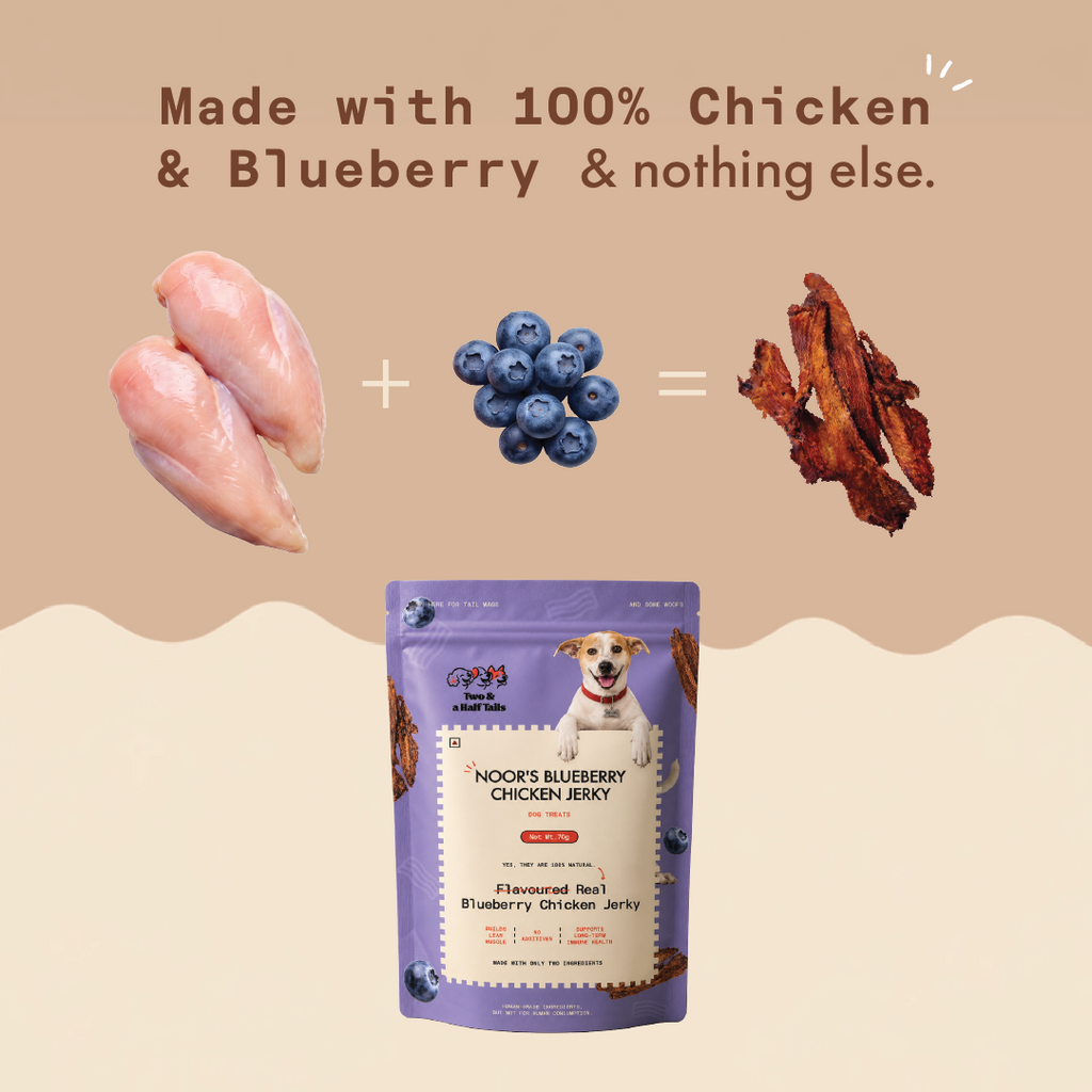 Noor's Blueberry Chicken Jerky (Grain-Free Dog Treats)