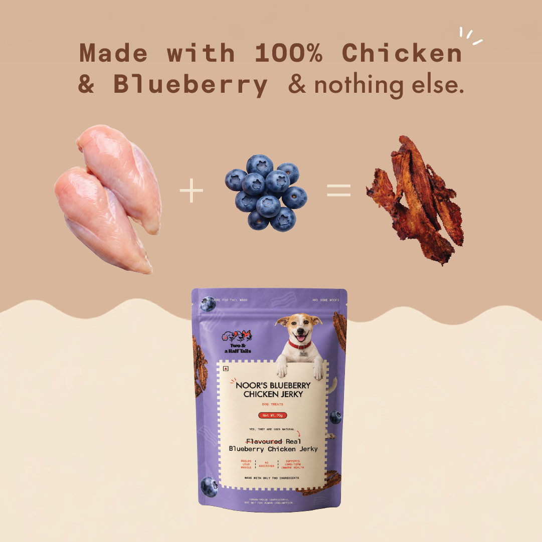Noor's Blueberry Chicken Jerky (Grain-Free Dog Treats)