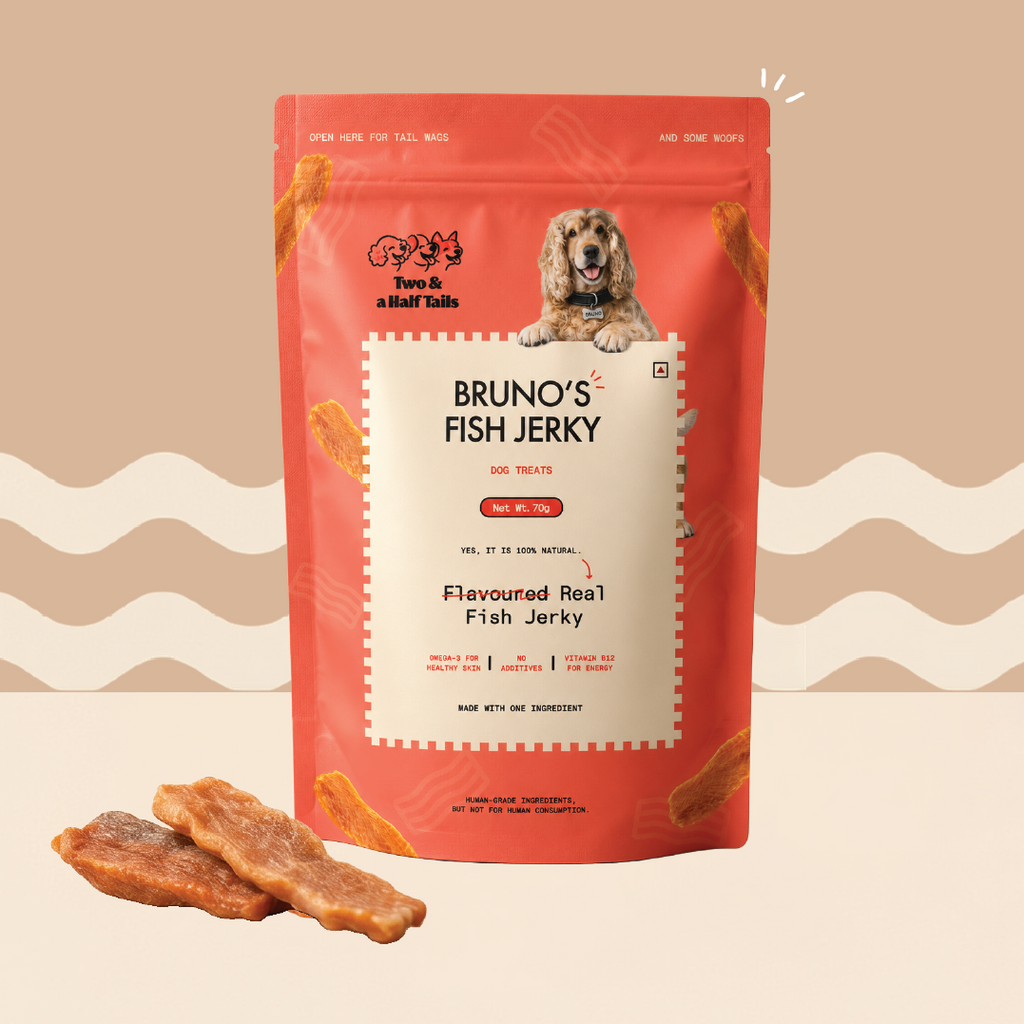 Bruno's Fish Jerky (Grain-Free Dog Treats)