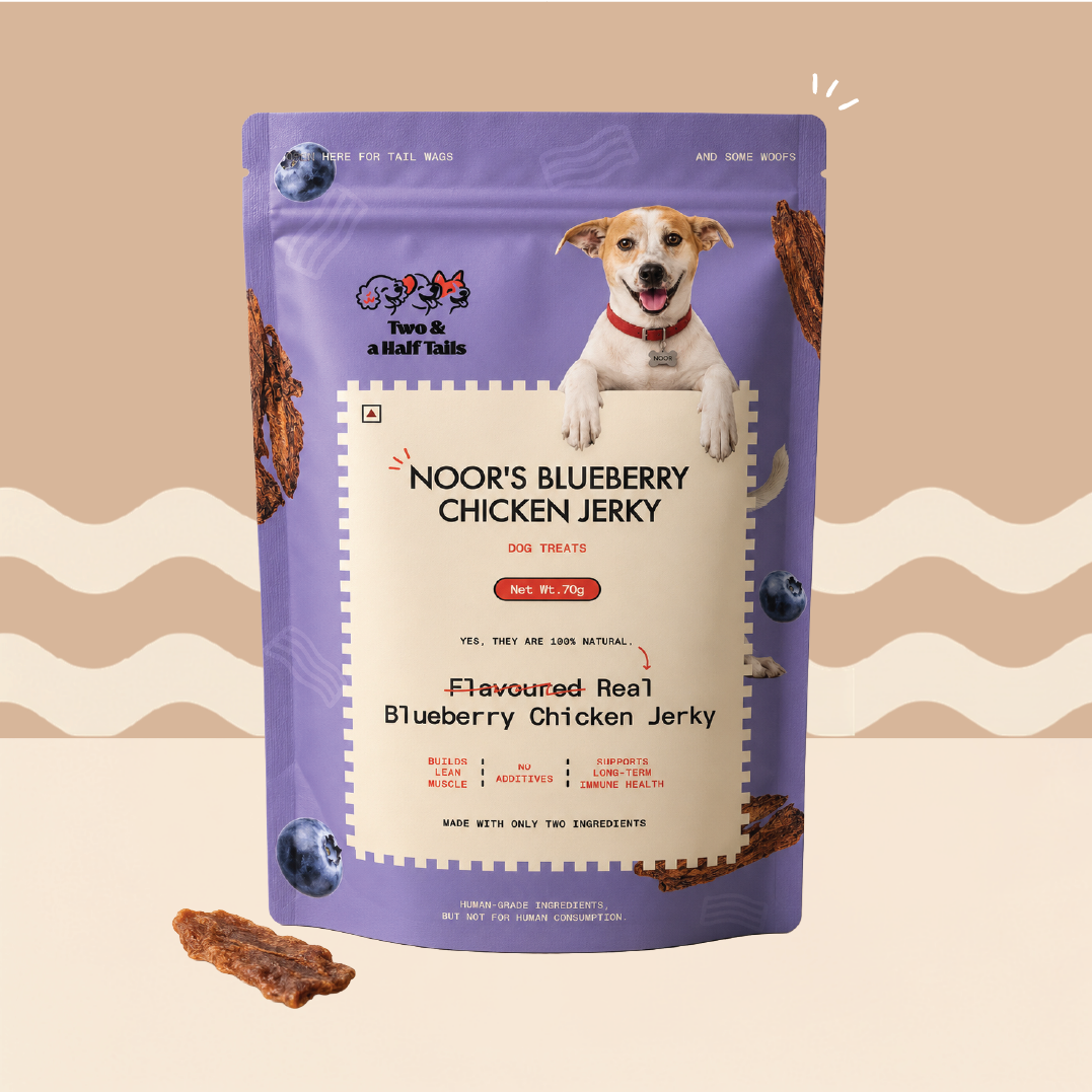 Noor's Blueberry Chicken Jerky (Grain-Free Dog Treats)