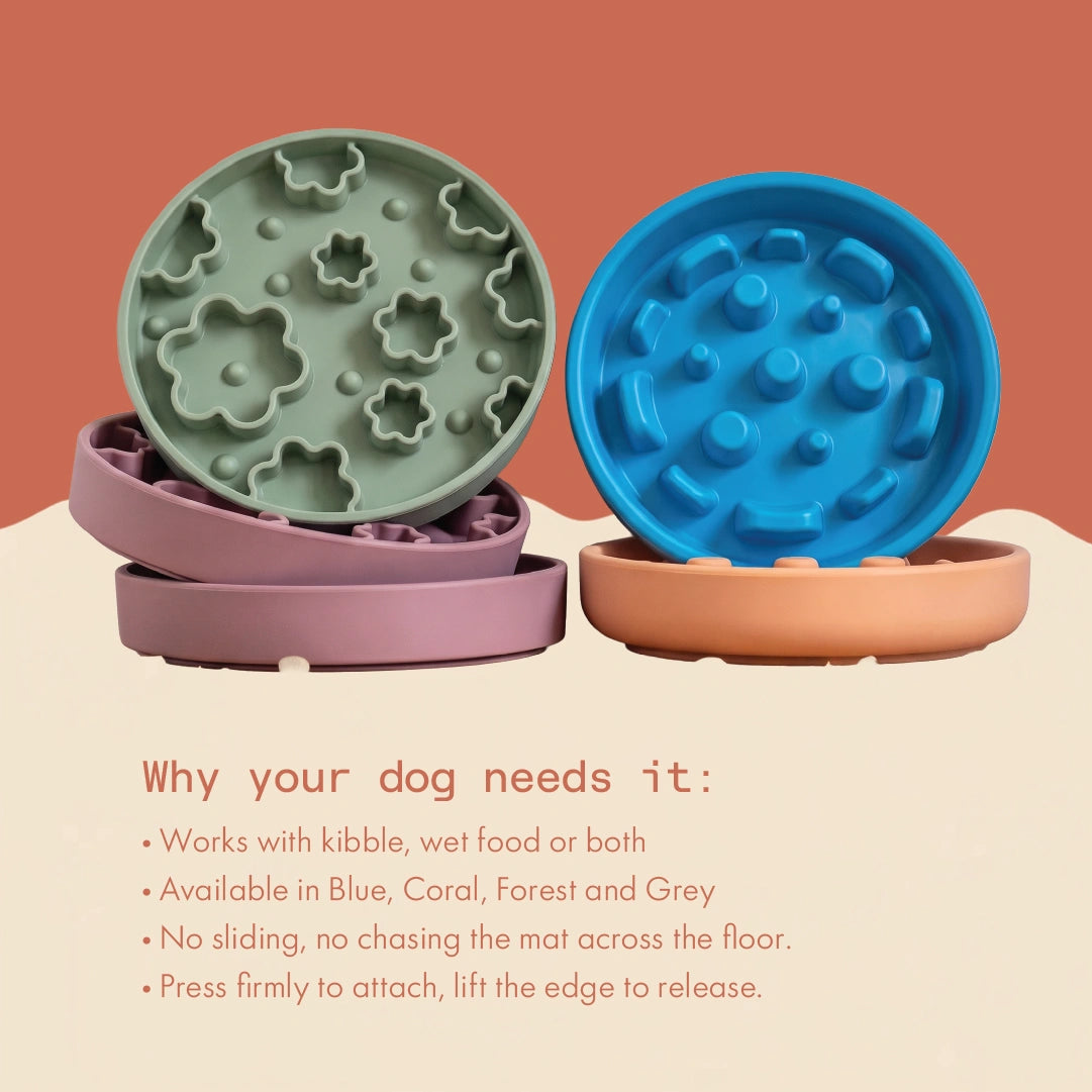 Bubble Bowl Slow Feeder