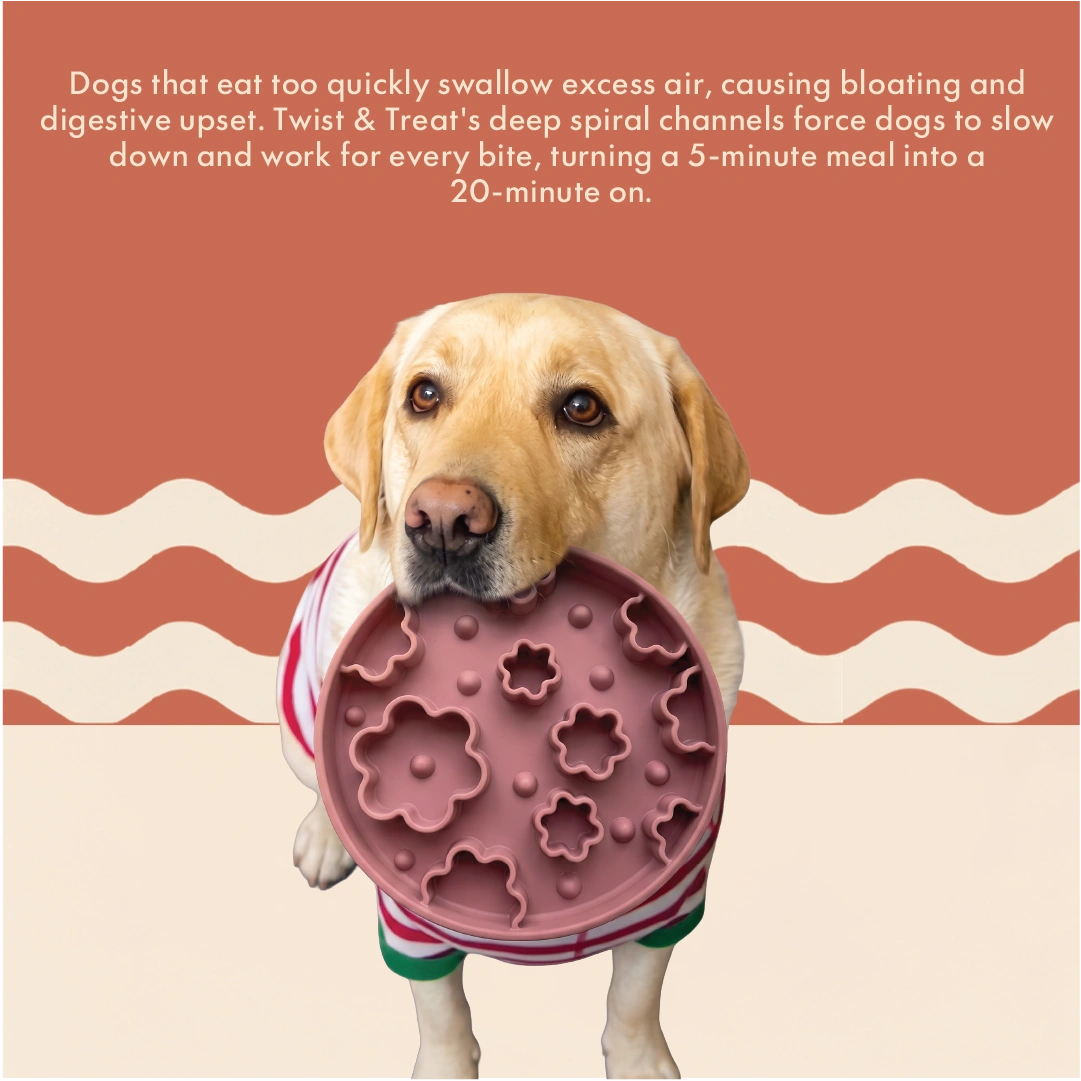 Cloudy with a Chance of Meat silicone slow feeder for dogs, photo 2