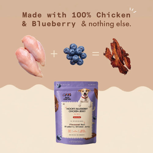 Noor's blueberry chicken jerky, grain-free dog treats, photo 5
