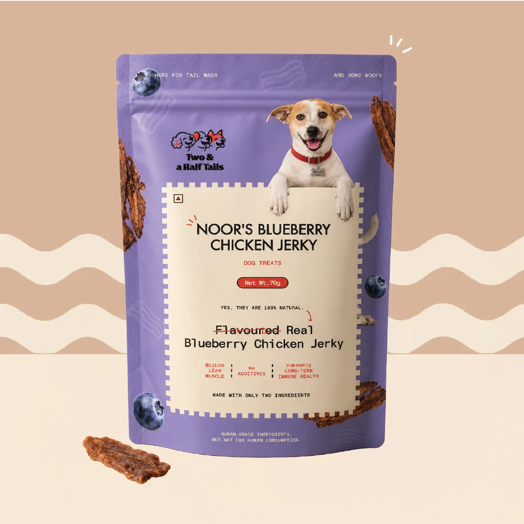 Noor's Blueberry Chicken Jerky (Grain-Free Dog Treats)