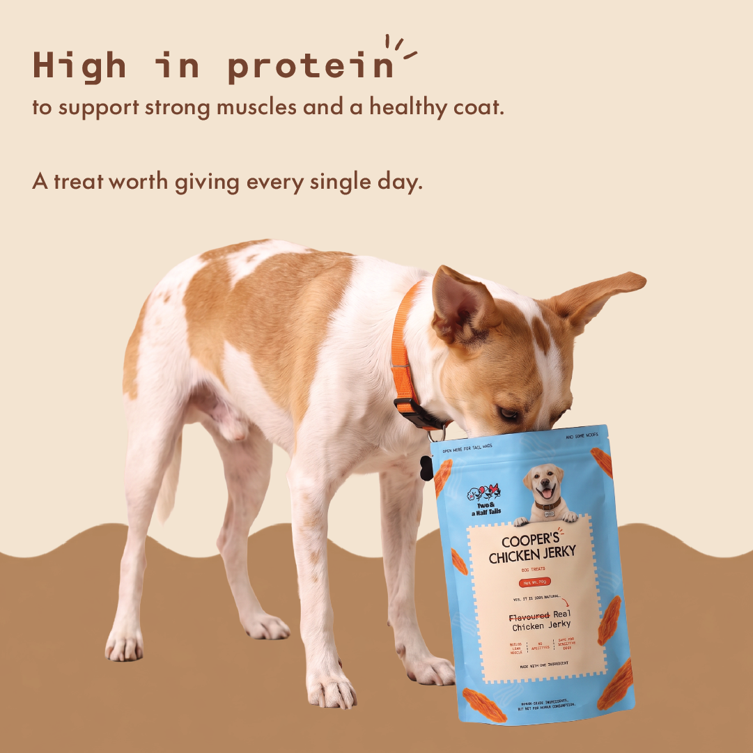 Cooper's Chicken Jerky 70g (Grain-Free Dog Treats)